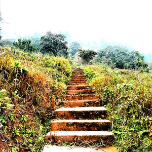 （免费商用）前路漫漫