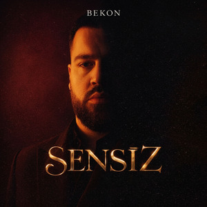 Sensiz