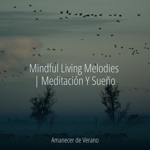 Sinfonía Elevada y Envolvente