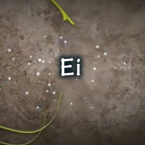 Ei