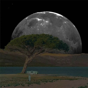 小脑萎缩曲