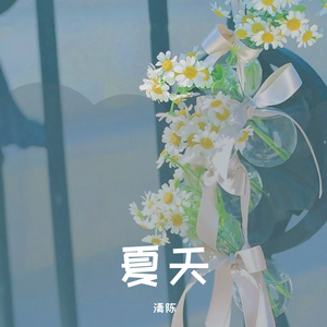 夏天的风（男声版）