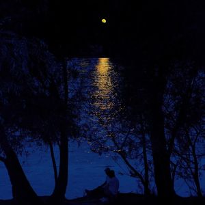 四点的海棠花未眠