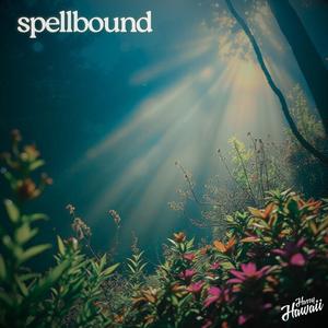 Spellbound