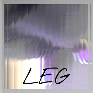 Leg