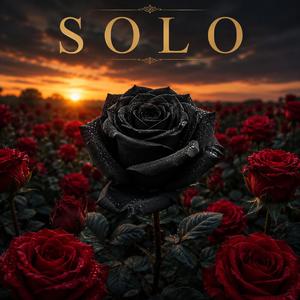 SOLO