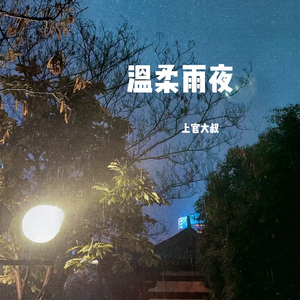 温柔雨夜