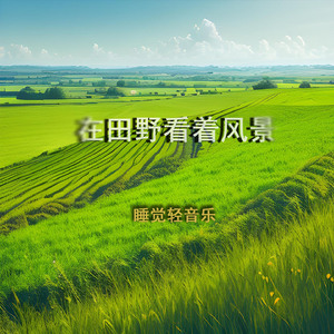 田野的风景 (钢琴)