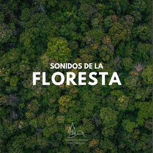 Sonidos de la Floresta (17)