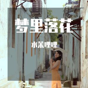 梦里落花
