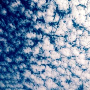 Empty Tables and Emptier People