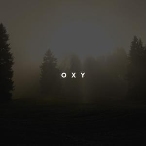 OXY (feat. Perkk30)