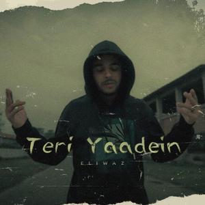 Teri Yaadein