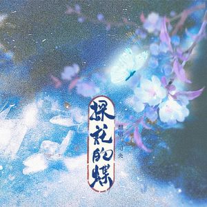 探花的蝶（cover黄诗扶）