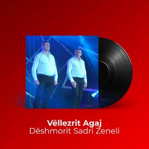 Dëshmorit Sadri Zeneli