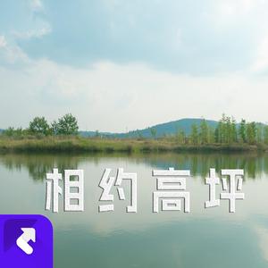 相约高坪 (现场)