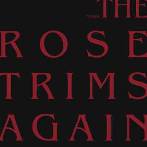 Audience Killer Loop (Live)