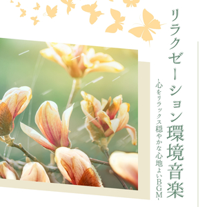 心洗われるヒーリング音楽