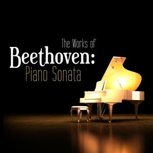 Piano Sonata No. 1 in F Minor, Op. 2, No.1: IV. Prestissimo
