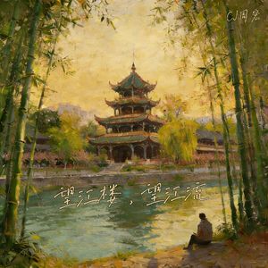 望江楼，望江流