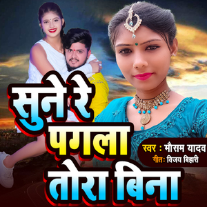 Sune Re Pagla Tora Bina