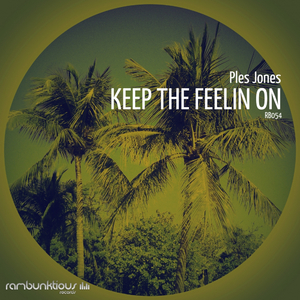Keep The Feelin On (Original Mix)