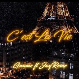 C'est La Vie (feat. FromJerome)