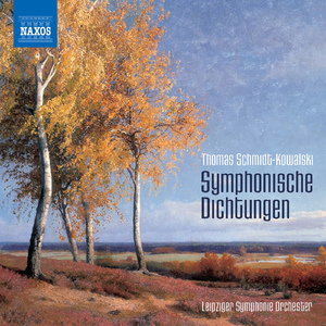 Meditationen, Op. 105:II. Trost