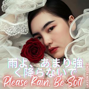 雨よ、あまり強く降らないで - Please Rain, Be Soft
