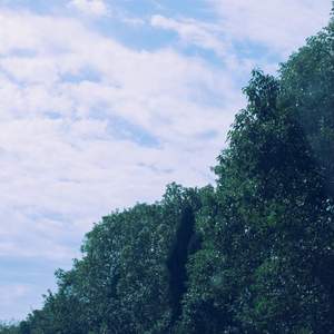 时间的褶皱里 (八音盒)