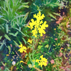 Running To Your Dream