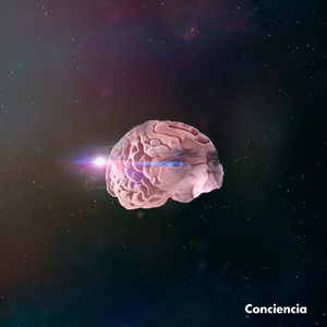 Conciencia