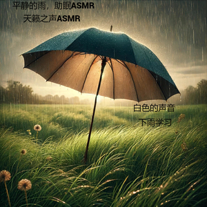 雨下的梦境，轻柔的雨声asmr