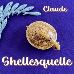 Claude (a most peculiar tortoise)