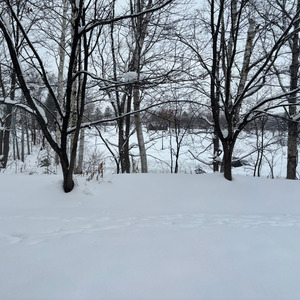 palace in the snow