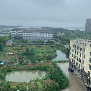 宇宙创生的回响