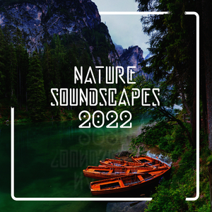 Bubbling Mountain Brook