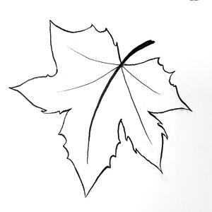 Told The IRS These Expenses Are Deductible