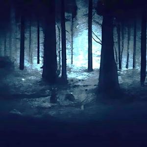 The Stretch Of The Woods Where None Dare Venture