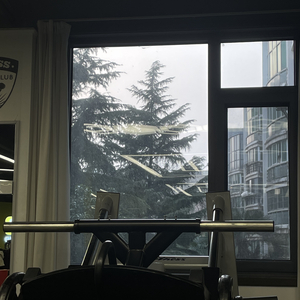 Won't Leave Me Alone