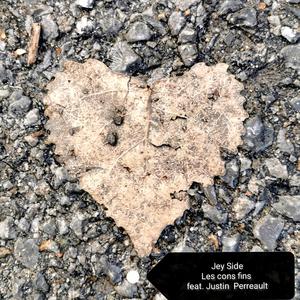 Les Cons Fins (feat. Justin Perreault)