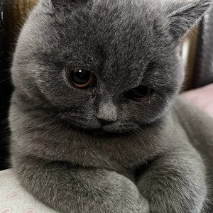 One Kiss x I Was Never There (Sped up)