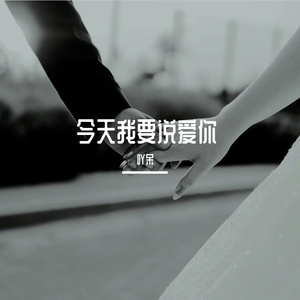 今天我要说爱你