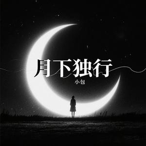 月下独行
