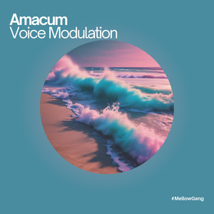 Voice Modulation (Original Mix)