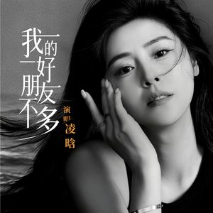 我的好朋友不多