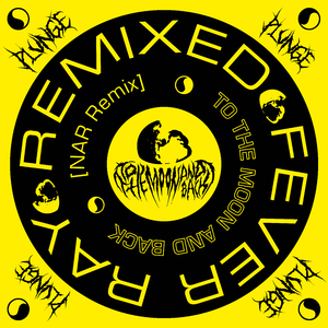 To the Moon and Back (NAR Remix)