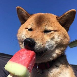 此生不换（翻自 青鸟飞鱼）