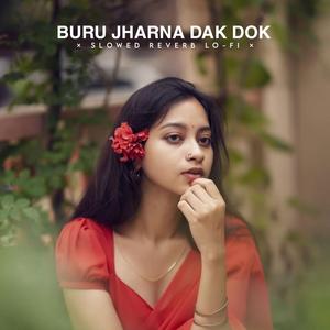 Buru Jharna Dak Dok (Slowed Reverb Lo-fi)