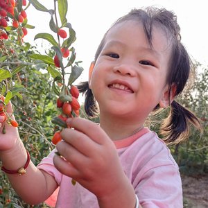 温柔的爱Deom 宋宁